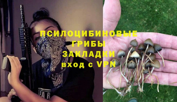 a pvp Алексин