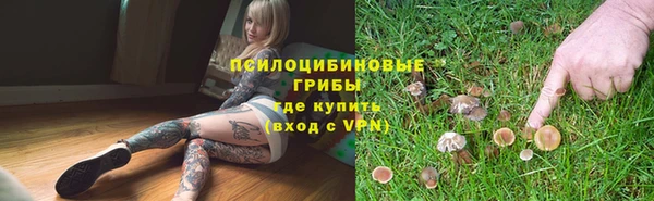 a pvp Алексин