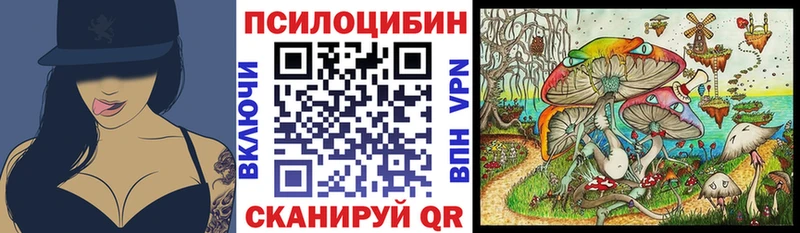 Псилоцибиновые грибы Magic Shrooms  shop наркотические препараты  Елабуга 